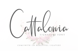 Cattalonia Review: A Designer’s Take on This Script Amp
