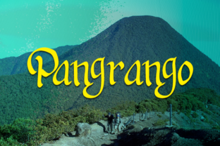Pangrango Typeface: A Handwritten Font That Elevates Your Brand