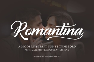 Romantina Font: A Beautiful Typeface for Web Design