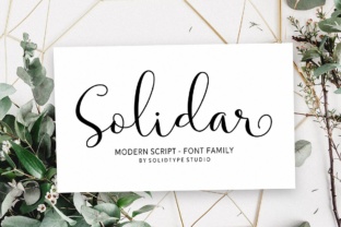Solidar Font: Elevate Your Digital Design with Modern Script Typography