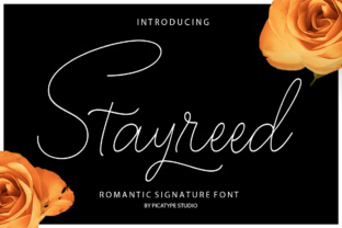 Stayreed: A Refined Typeface for Modern Web Design