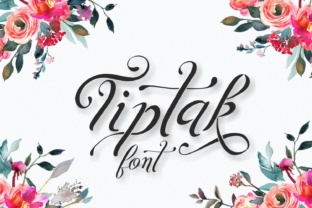 Tiptak Script Font: Elevate Your Brand’s Visual Story